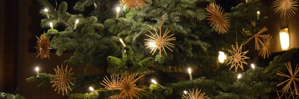 baum mit sternen