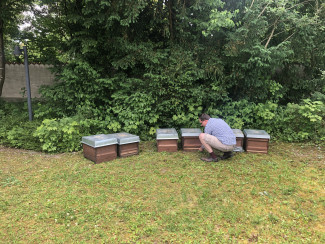Bienenstöcke in Putzbrunn